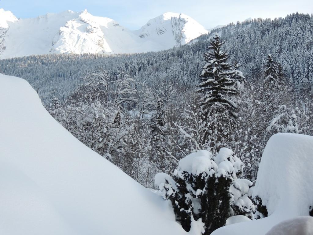 La Duche 101 Appartement Le Grand-Bornand Kamer foto